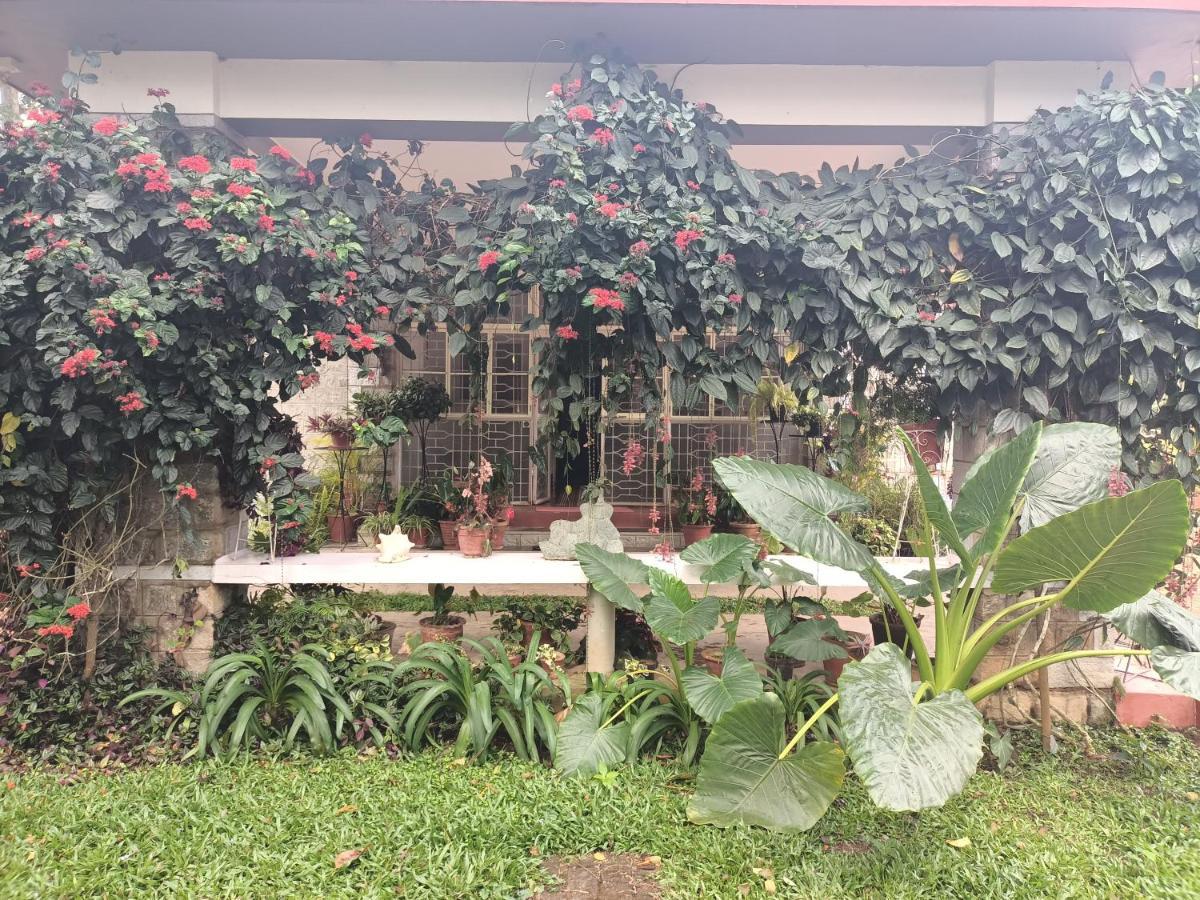 Coorg Kolamotte Hotel Gonikoppal Bagian luar foto
