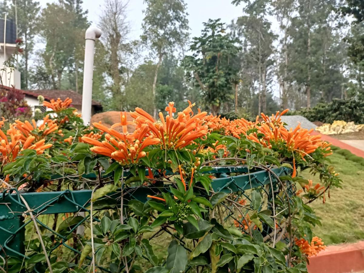 Coorg Kolamotte Hotel Gonikoppal Bagian luar foto