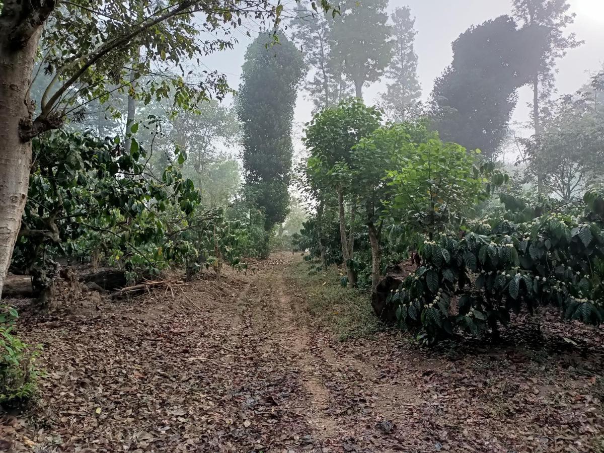 Coorg Kolamotte Hotel Gonikoppal Bagian luar foto