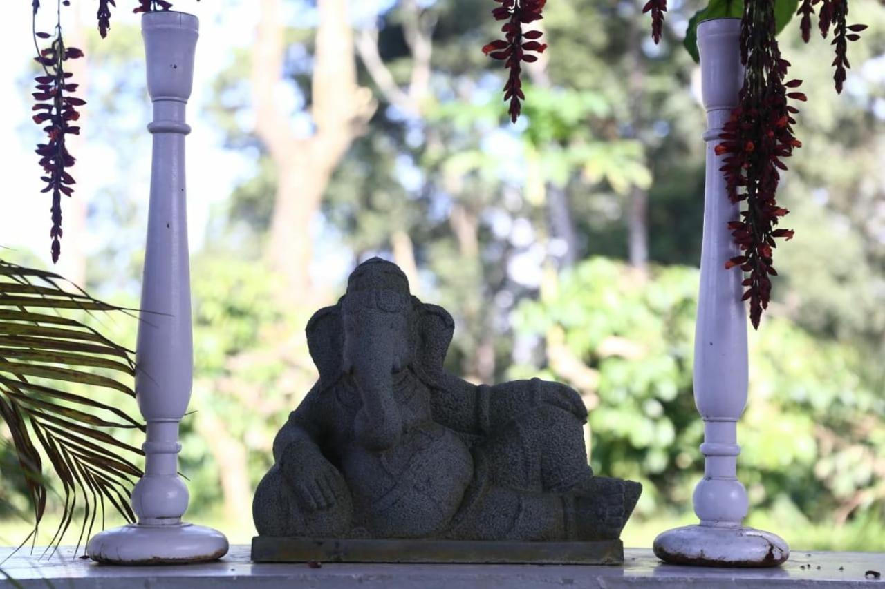 Coorg Kolamotte Hotel Gonikoppal Bagian luar foto